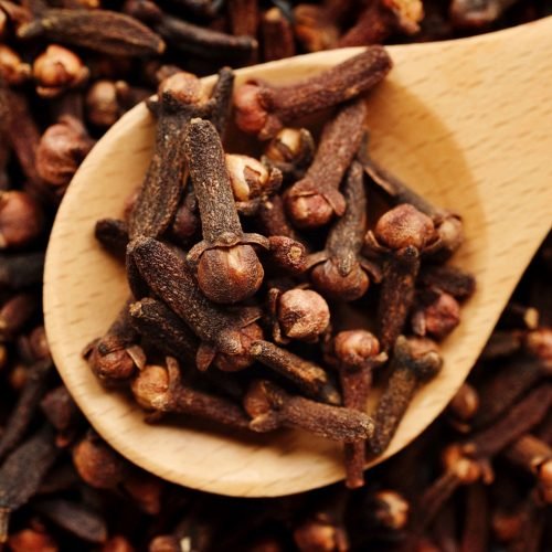 CLOVE